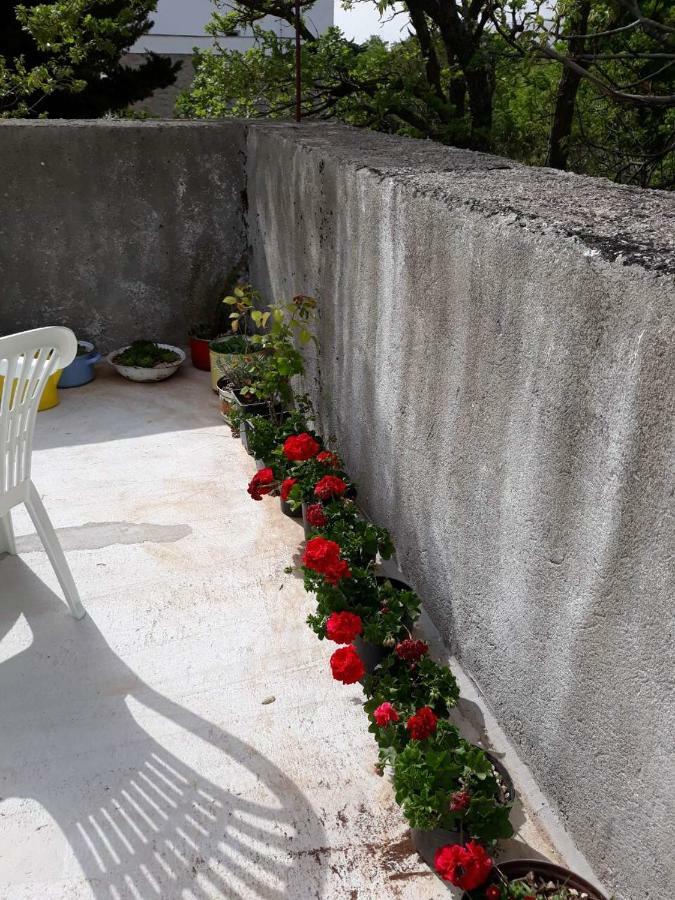 Apartman Milica Golubic  Экстерьер фото